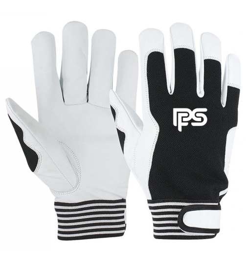 PFS 1146GCCE