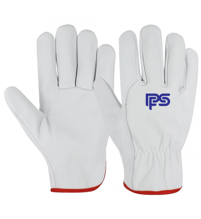 PFS 3004GPWS